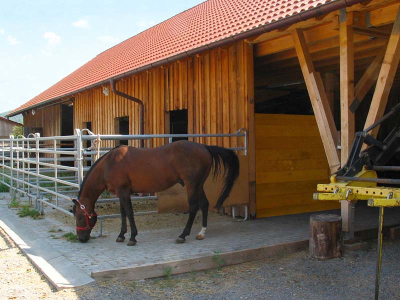 Unterstellplatz Pferde bauen lassen